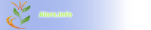 Directory of Web Sites